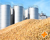 TRANSPORTE DE GRÃOS